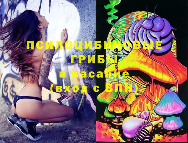 твердый Новозыбков