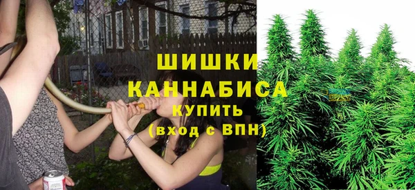 apvp Новодвинск