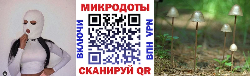 Псилоцибиновые грибы мухоморы  Ессентуки 