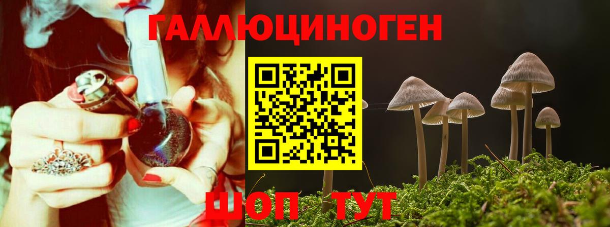 цены   Вход с VPN  Галлюциногенные грибы Cubensis  Ессентуки  Псилоцибиновые грибы мицелий 