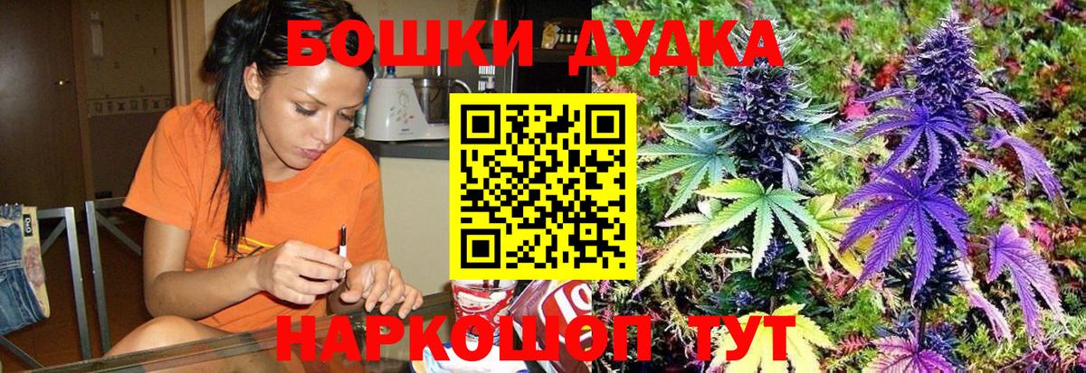 Канабис ГИДРОПОН Ессентуки